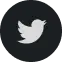 twitterIcon